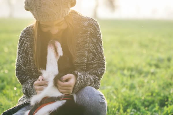 Pet Services